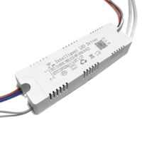 Драйвер LED (25-40W)*2+RGB 30-60 (BI CX)
