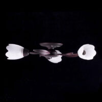 Люстра P3-56473/3C CD+WT