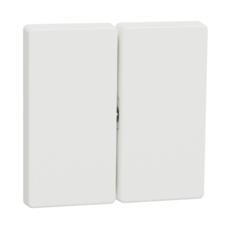 Клавіша 2-на Білий матовий Merten D-Life MTN3400-6037
