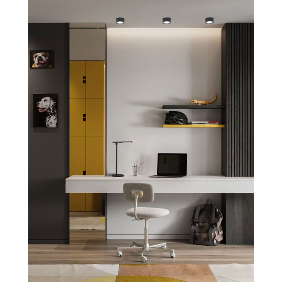 8203 Світильник Nowodvorski FLEA black PL