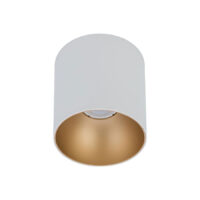 8221 Світильник Nowodvorski POINT Tone white/gold PL 8738 Точковий світильник Nowodvorski CL IOS LED 20W, 4000K, 36° WHITE CN