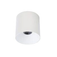 8743 Точковий світильник Nowodvorski CL IOS LED 20W, 4000K, 60° WHITE CN
